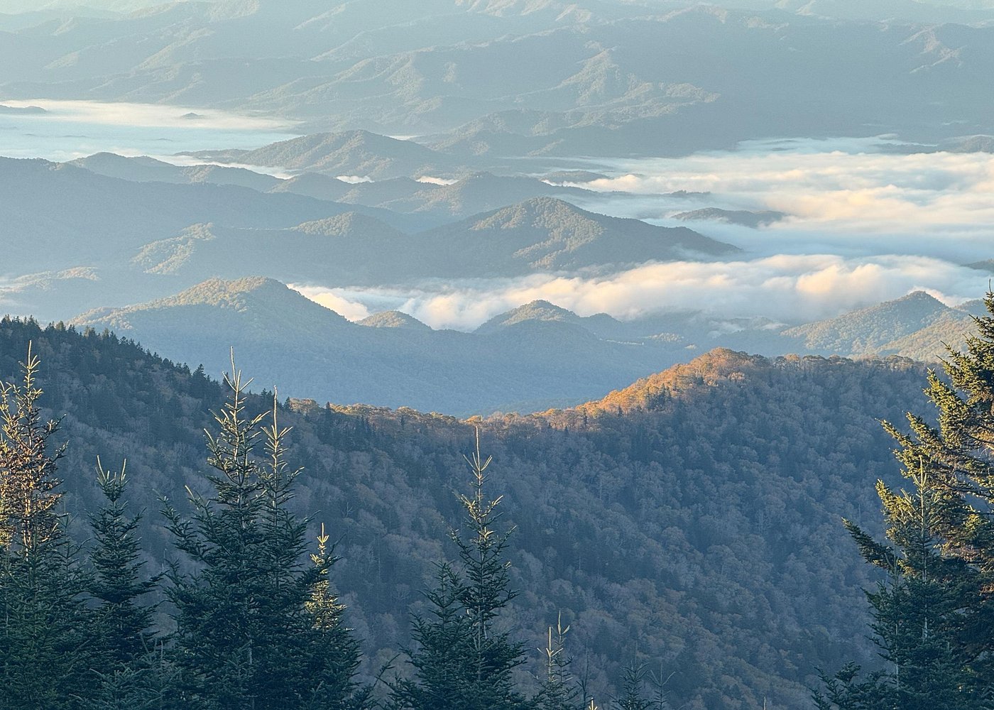 Kuwohi Mountain Great Smoky Mountains Tour
